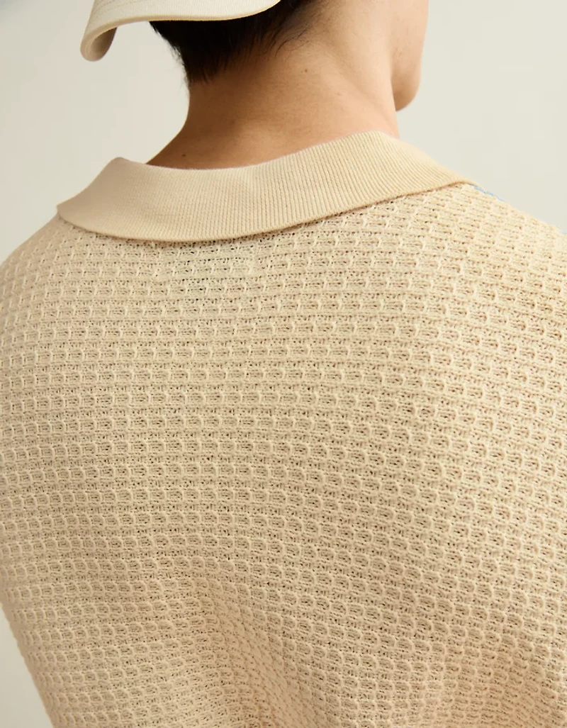 AE Striped Button-Up Sweater Polo