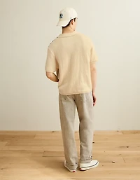 AE Striped Button-Up Sweater Polo