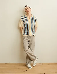 AE Striped Button-Up Sweater Polo