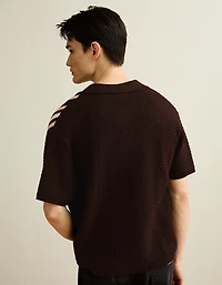 AE Striped Button-Up Sweater Polo