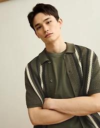 AE Striped Button-Up Sweater Polo