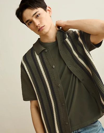 AE Striped Button-Up Sweater Polo