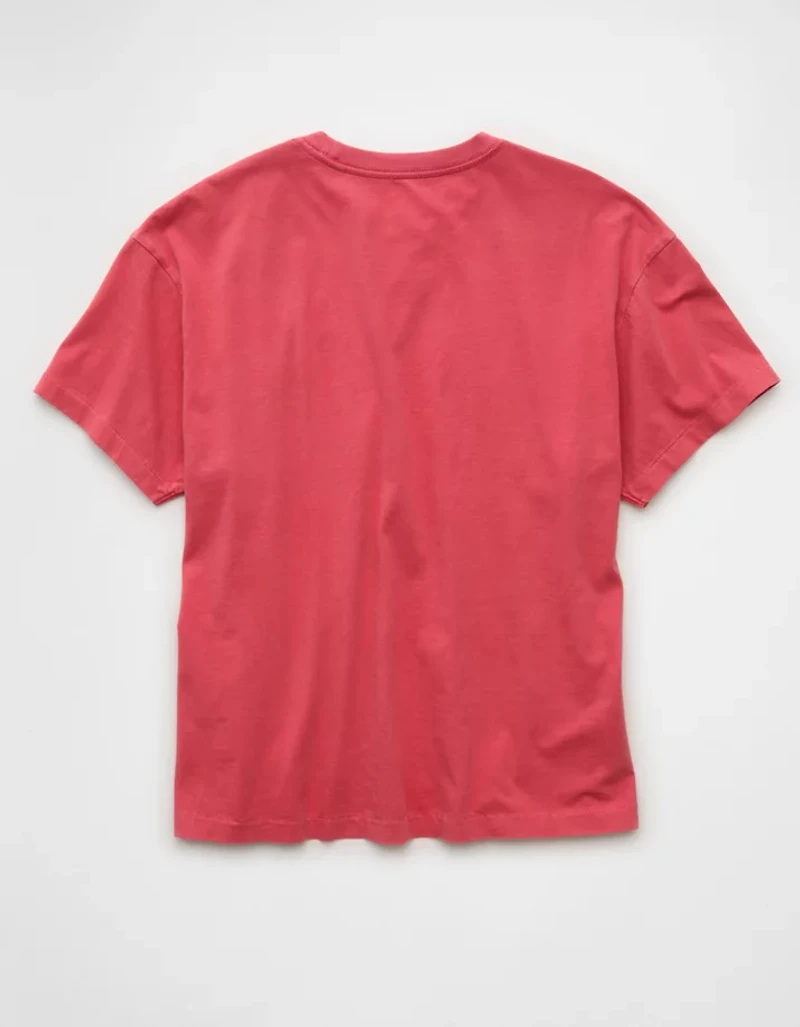AE Shrunken Fit Lived-In T-Shirt