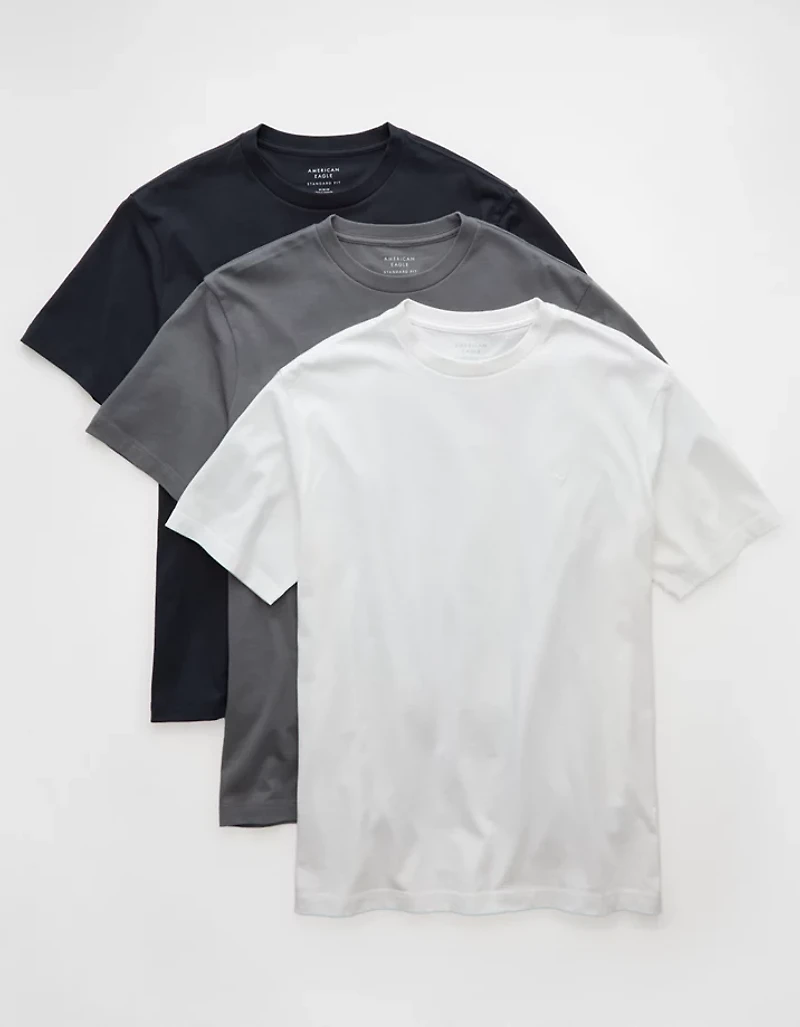 AE Lived-In T-Shirt -Pack