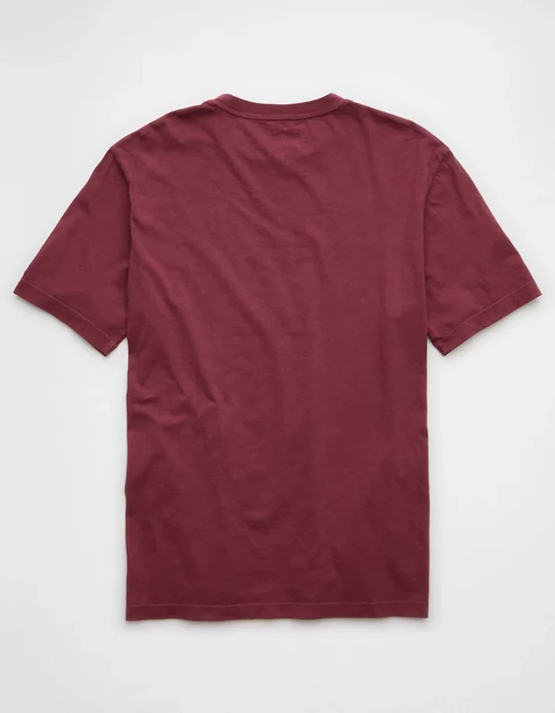 AE Lived-In T-Shirt
