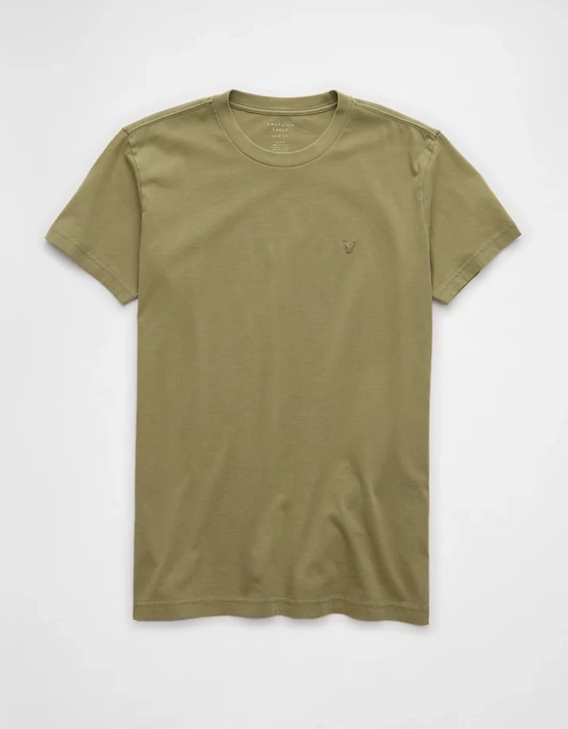 AE Lived-In Slim T-Shirt