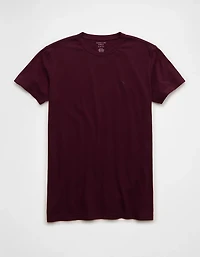 AE Lived-In Slim T-Shirt