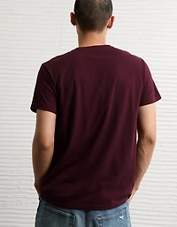 AE Lived-In Slim T-Shirt