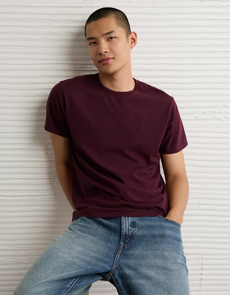 AE Lived-In Slim T-Shirt