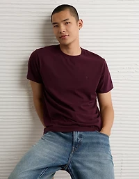 AE Lived-In Slim T-Shirt