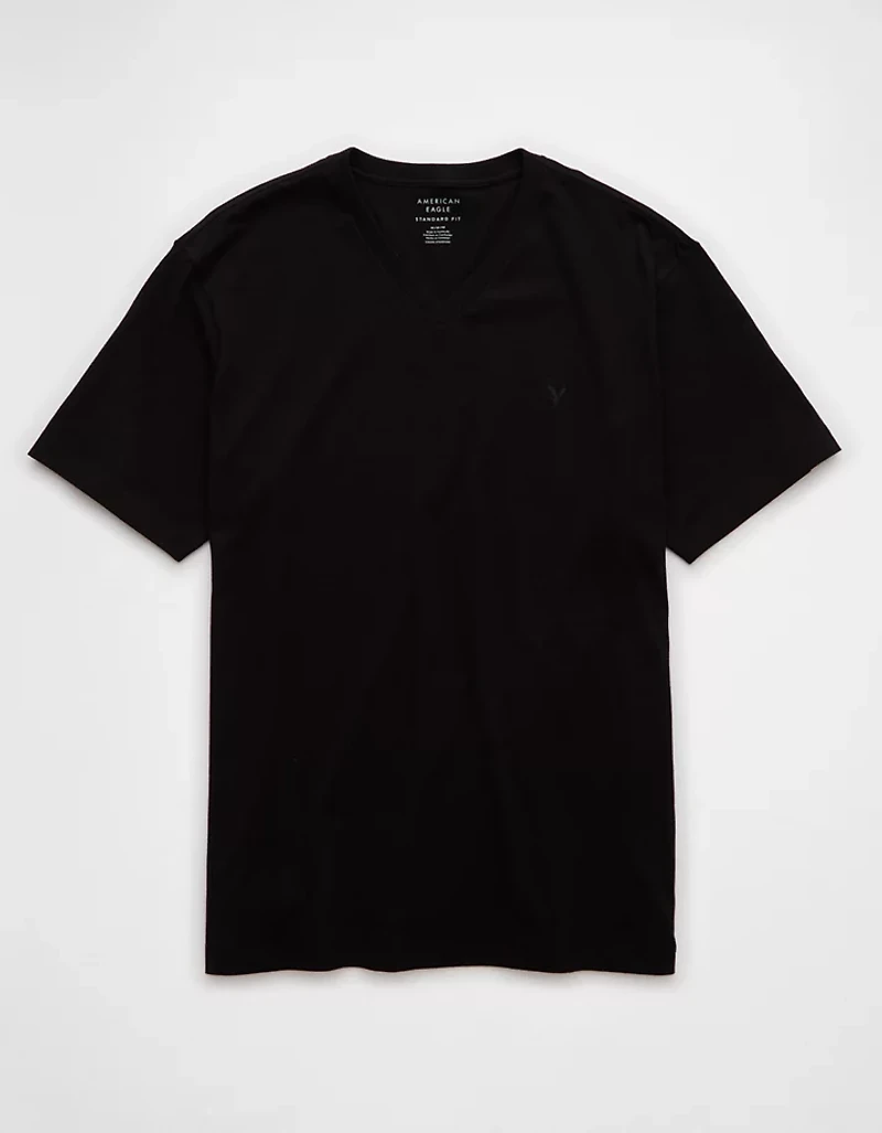 AE Lived-In V-Neck T-Shirt