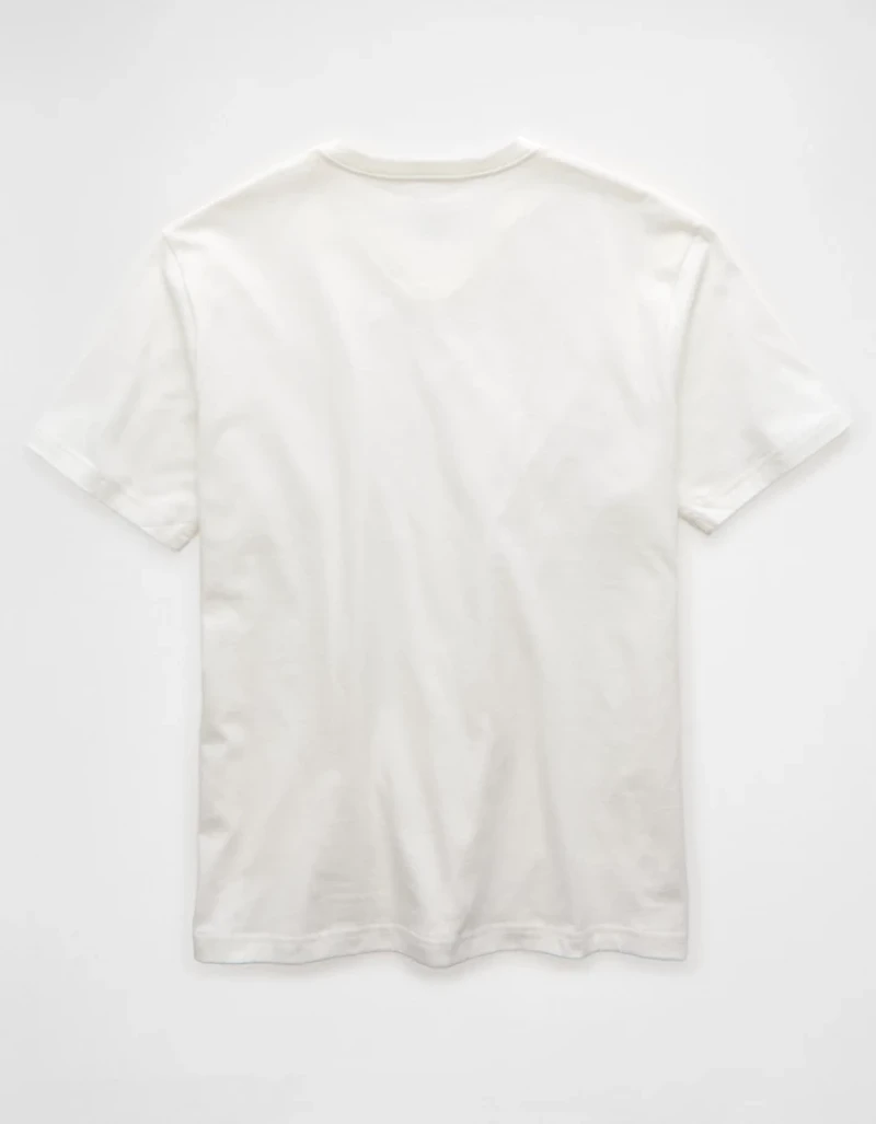 AE Lived-In V-Neck T-Shirt