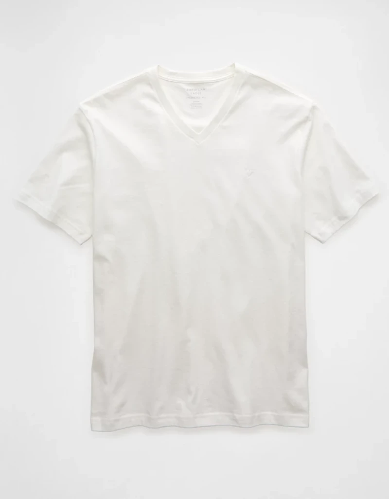 AE Lived-In V-Neck T-Shirt