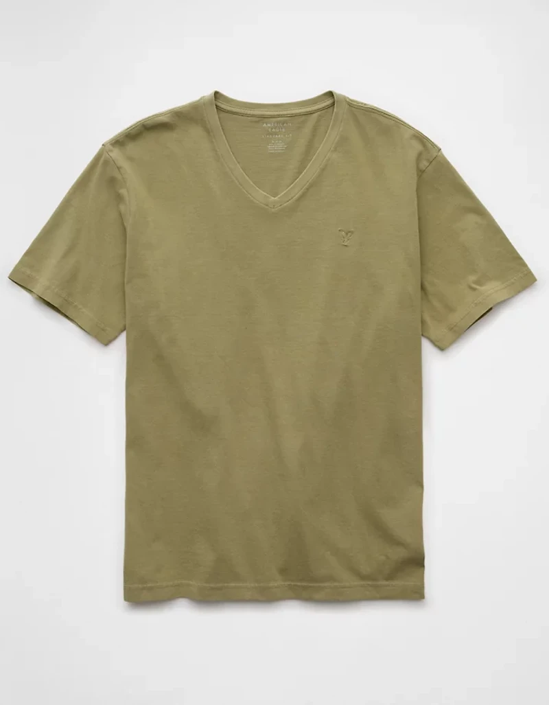 AE Lived-In V-Neck T-Shirt