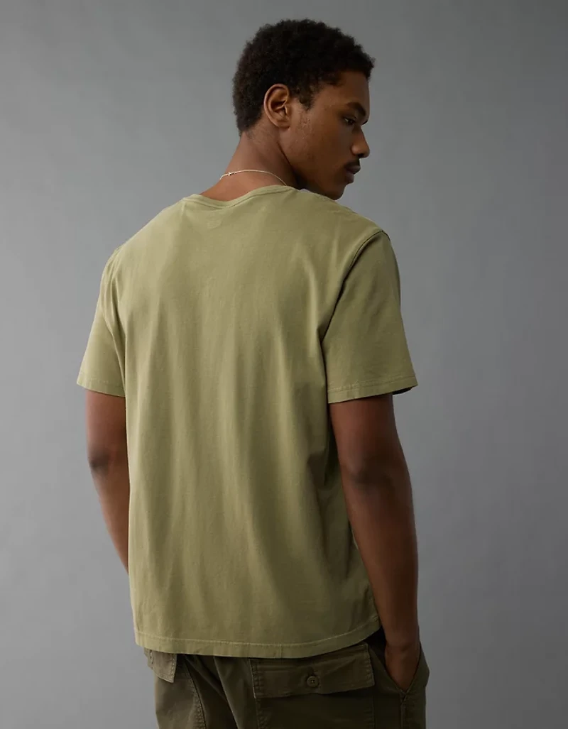 AE Lived-In V-Neck T-Shirt