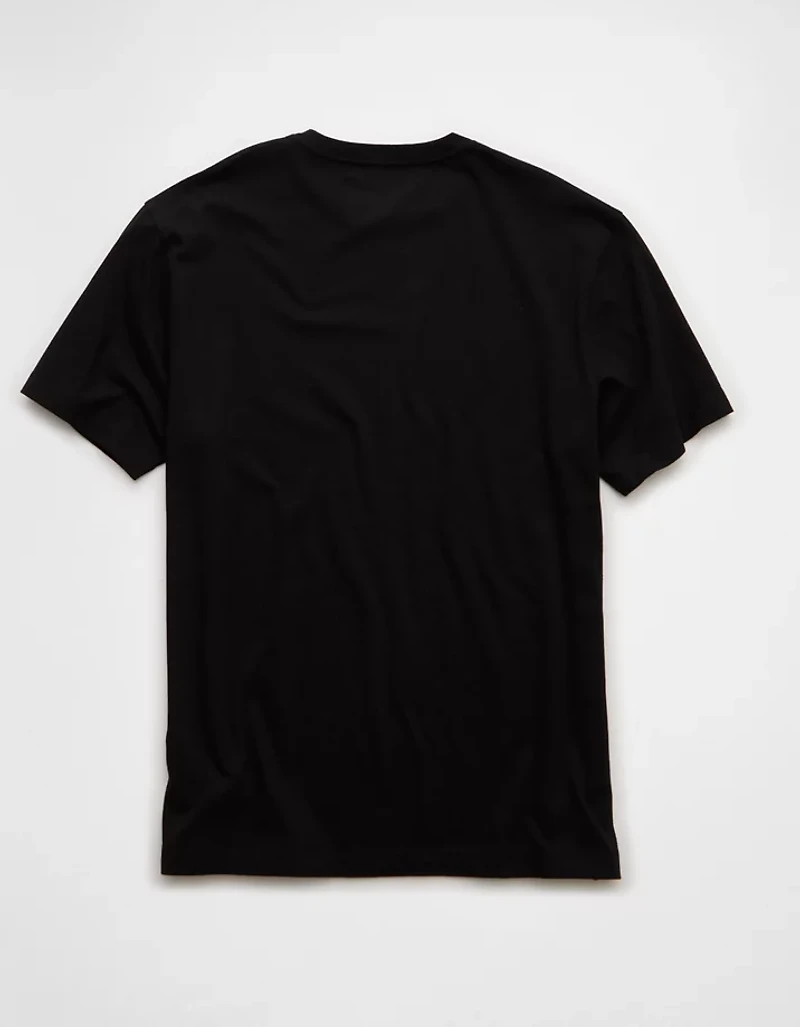AE Standard Fit Lived-In T-Shirt