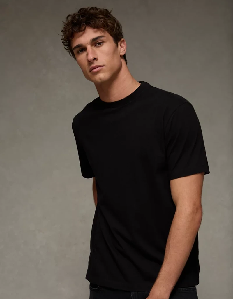 AE Standard Fit Lived-In T-Shirt