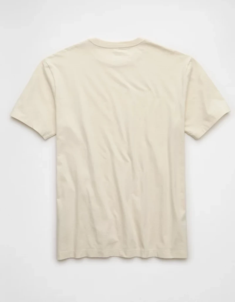 AE Standard Fit Lived-In T-Shirt