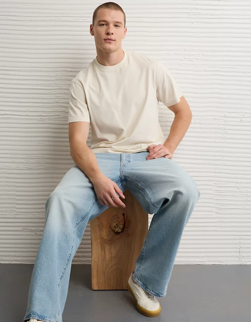 AE Standard Fit Lived-In T-Shirt