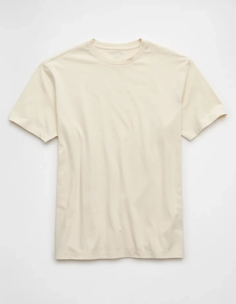 AE Standard Fit Lived-In T-Shirt