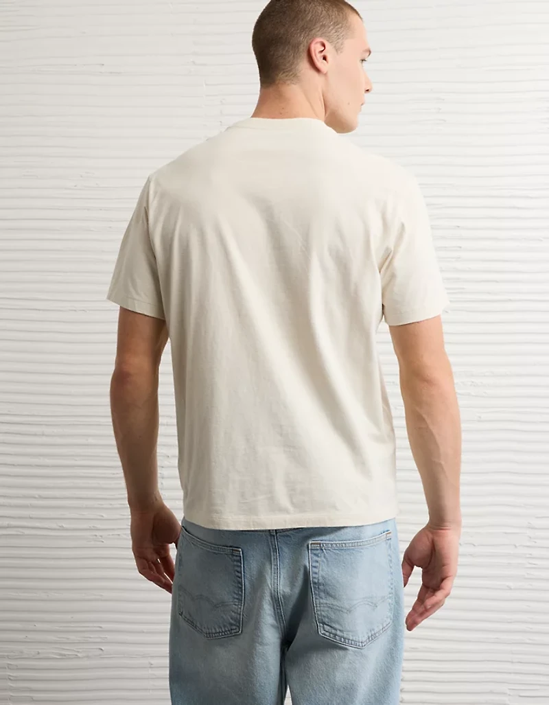 AE Standard Fit Lived-In T-Shirt