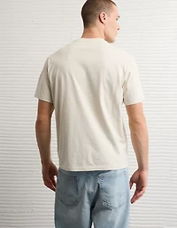 AE Standard Fit Lived-In T-Shirt