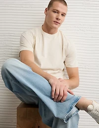 AE Standard Fit Lived-In T-Shirt