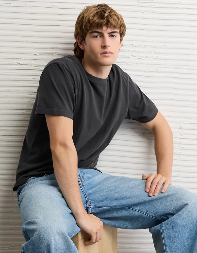 AE Standard Fit Lived-In T-Shirt