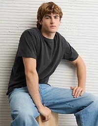AE Standard Fit Lived-In T-Shirt