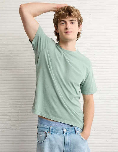 AE Standard Fit Lived-In T-Shirt