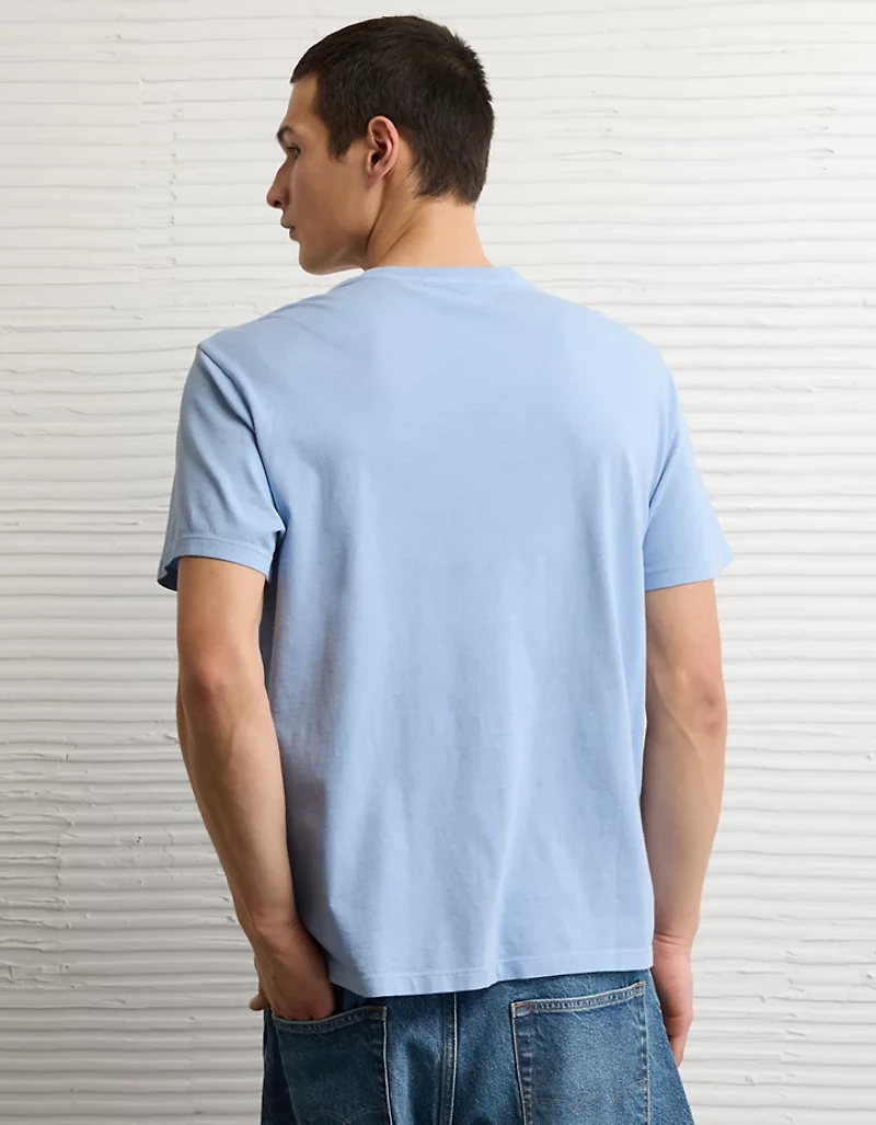 AE Standard Fit Lived-In T-Shirt