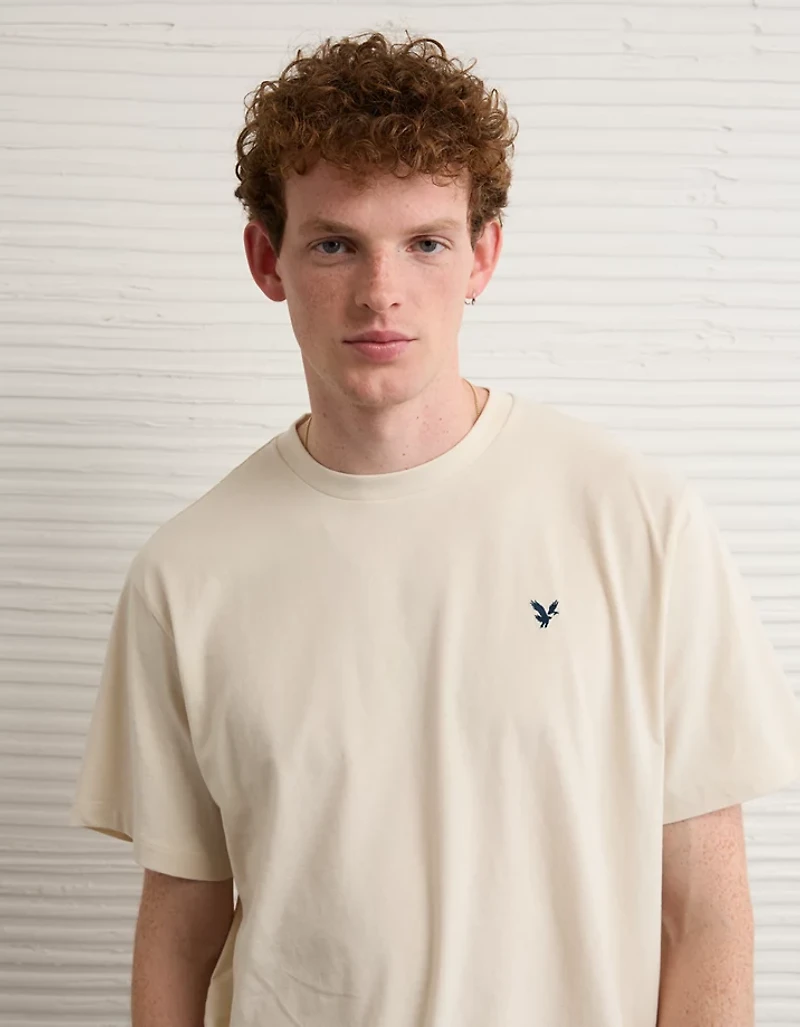 AE Lightweight Icon T-Shirt