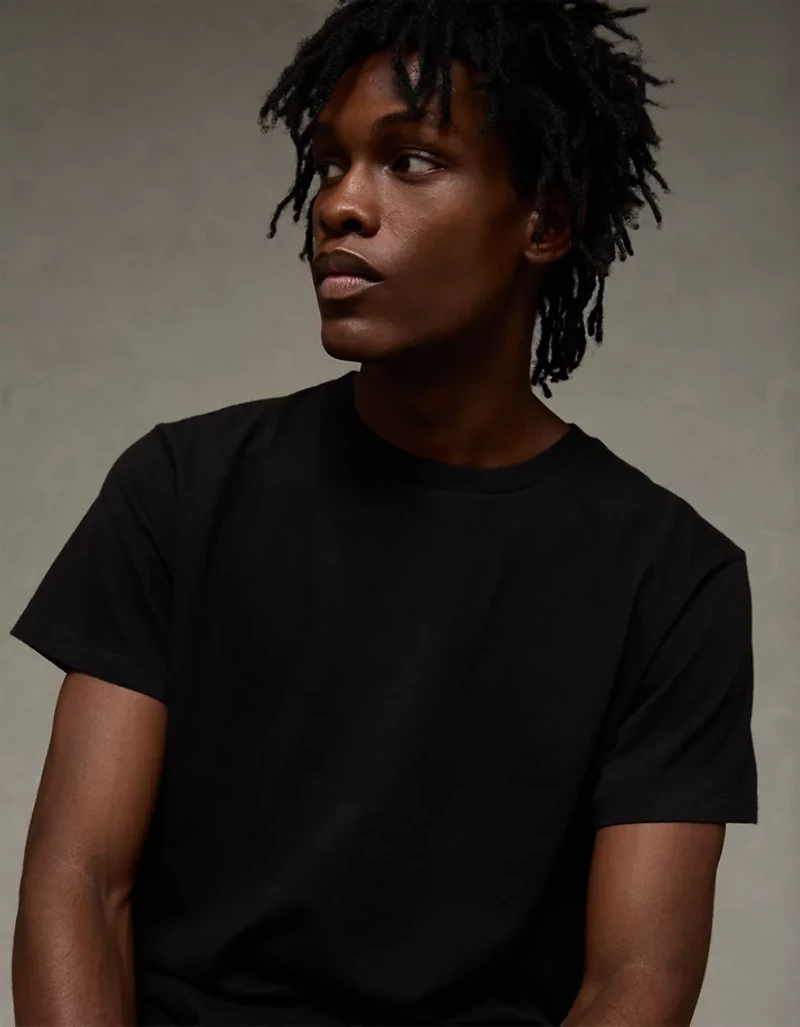 AE Lived-In Slim Fit T-Shirt