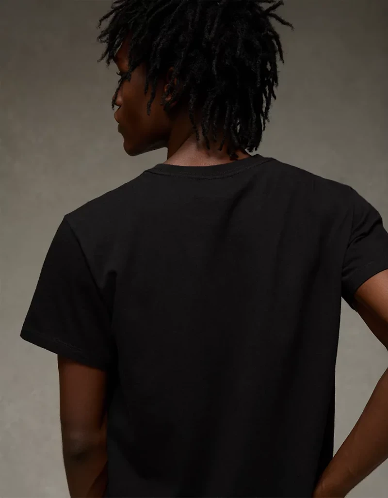 AE Lived-In Slim Fit T-Shirt