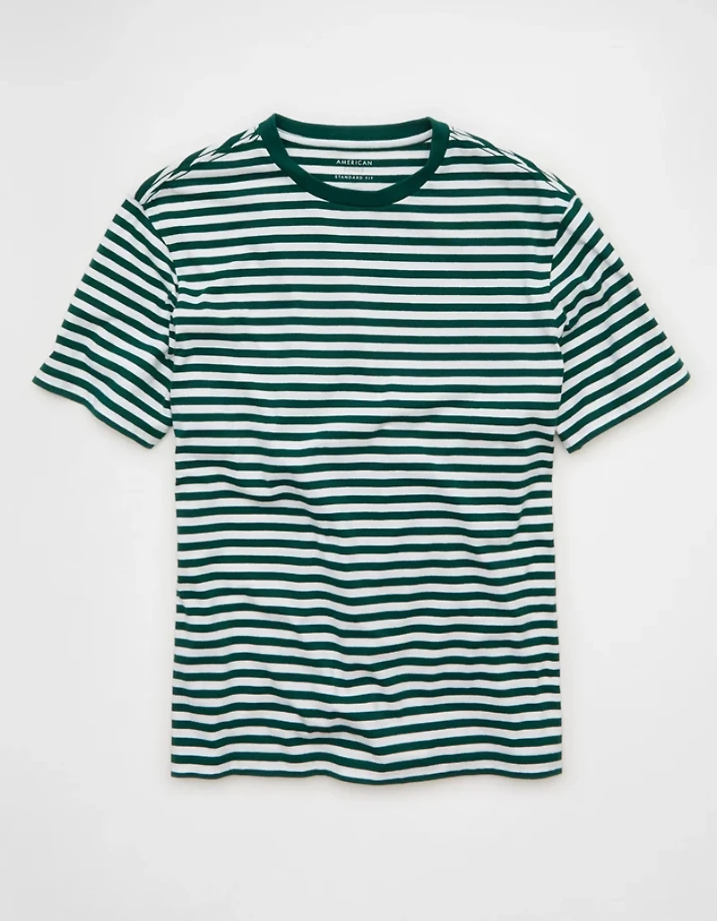 AE Standard Fit Lived-In T-Shirt