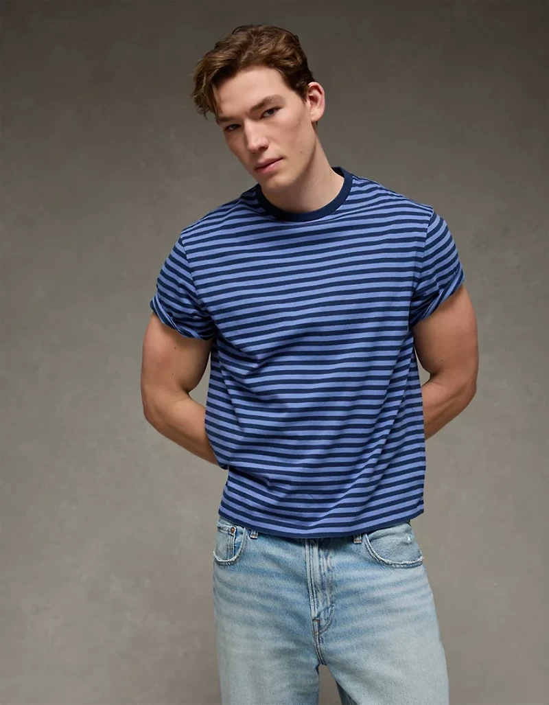 AE Standard Fit Lived-In T-Shirt