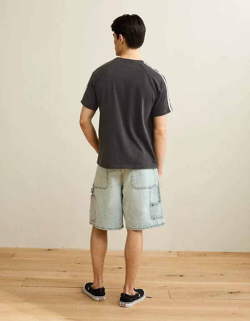 AE Standard Fit Raglan T-Shirt