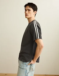 AE Standard Fit Raglan T-Shirt
