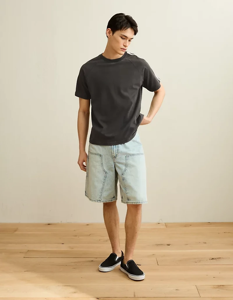 AE Standard Fit Raglan T-Shirt