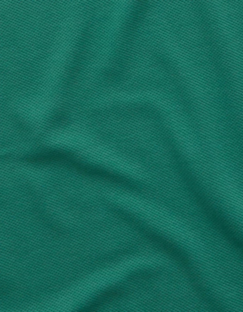 AE Standard Fit 24/7 Training Polo Shirt