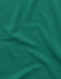 AE Standard Fit 24/7 Training Polo Shirt