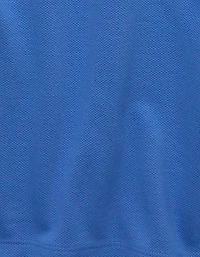 AE Standard Fit 24/7 Training Polo Shirt