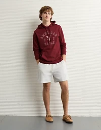 AE Lightweight Icon Logo Graphic Hoodie T-Shirt