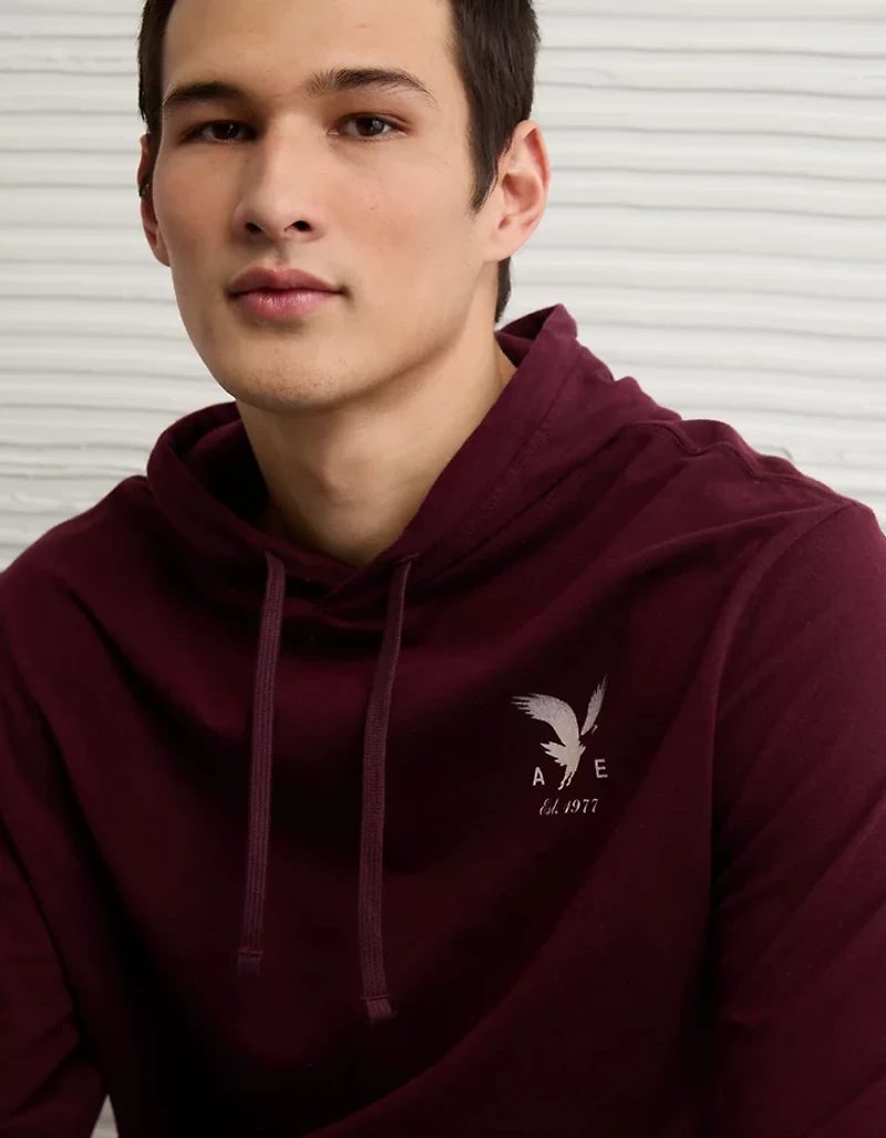 AE Lightweight Icon Logo Graphic Hoodie T-Shirt