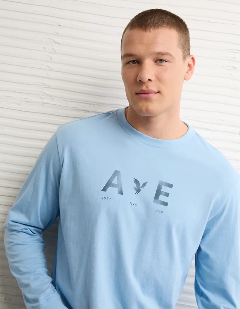 AE Icon Long-Sleeve T-Shirt