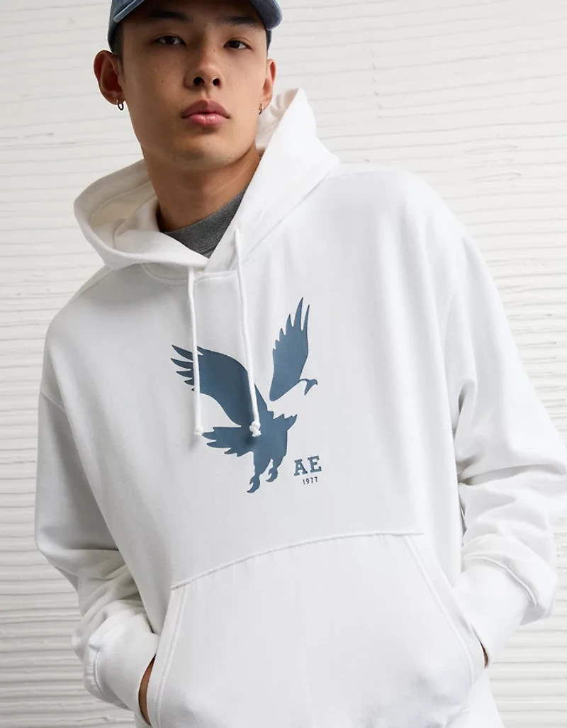 Chandail à capuchon graphique léger AE