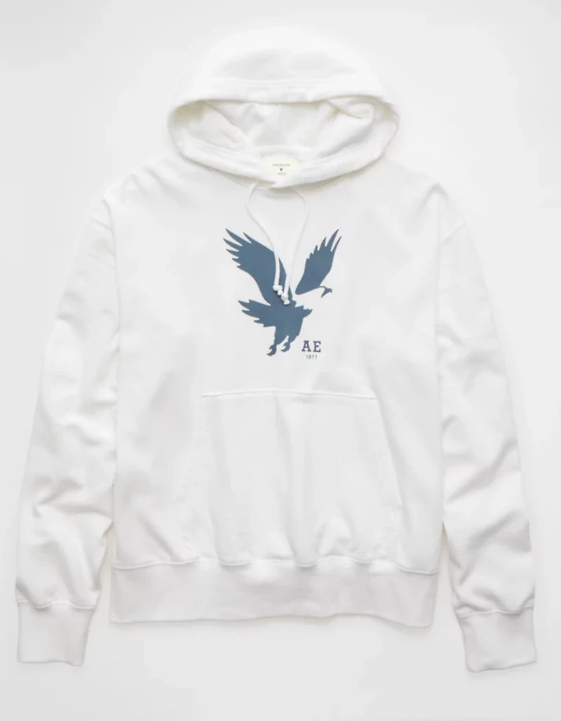 Chandail à capuchon graphique léger AE