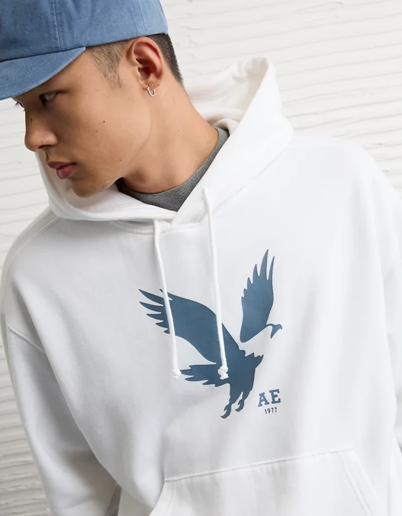 Chandail à capuchon graphique léger AE