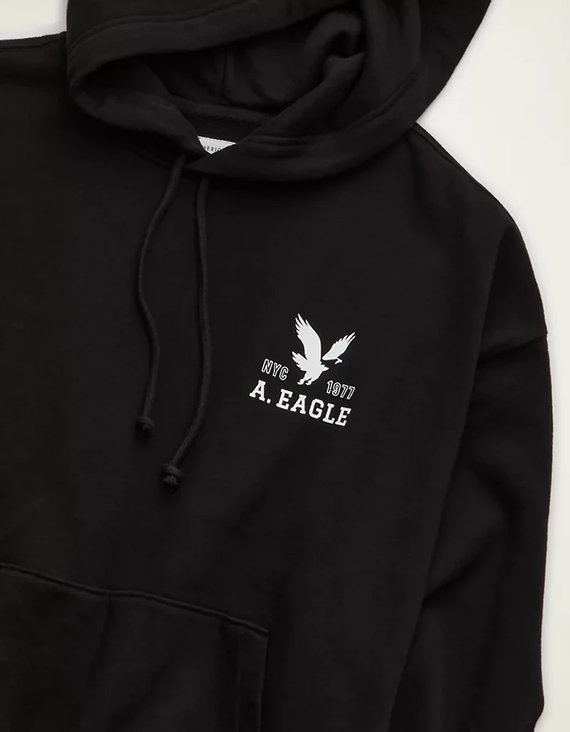 AE Lightweight Logo Fleece Hoodie