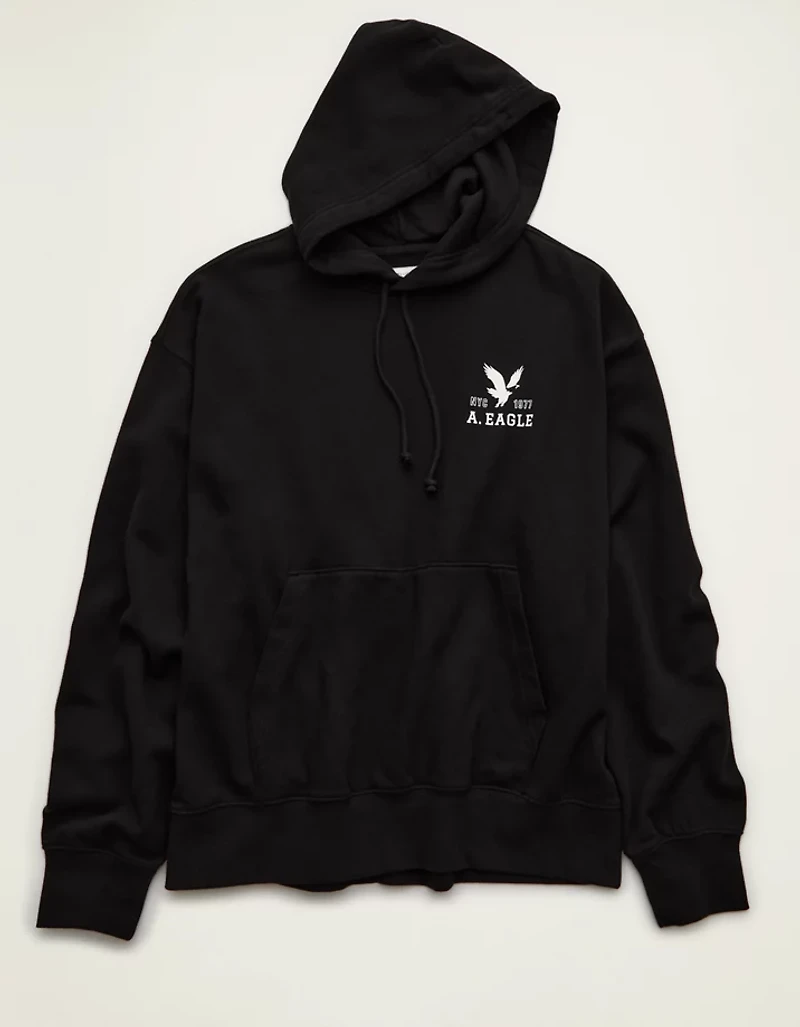 AE Lightweight Logo Fleece Hoodie